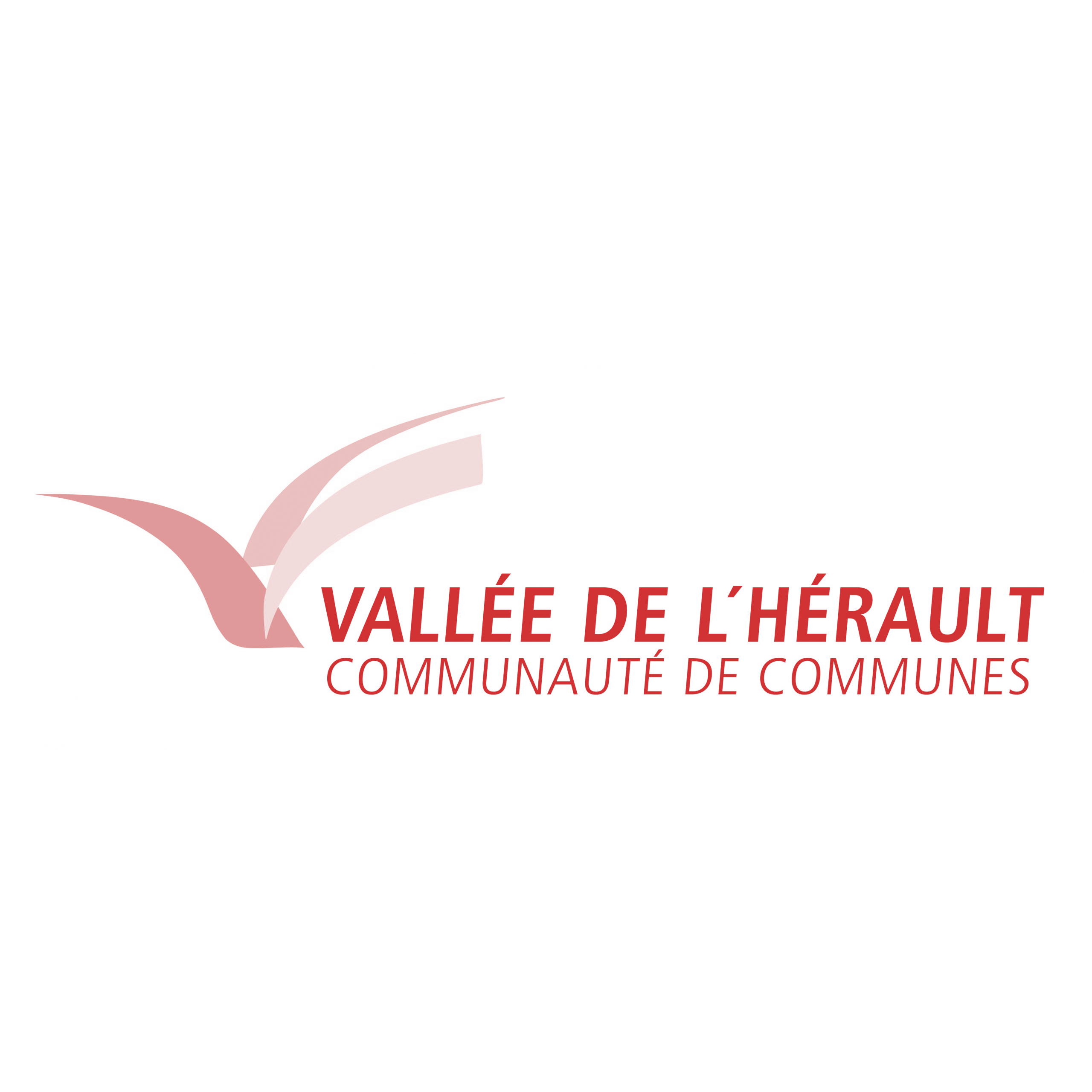 ccvh